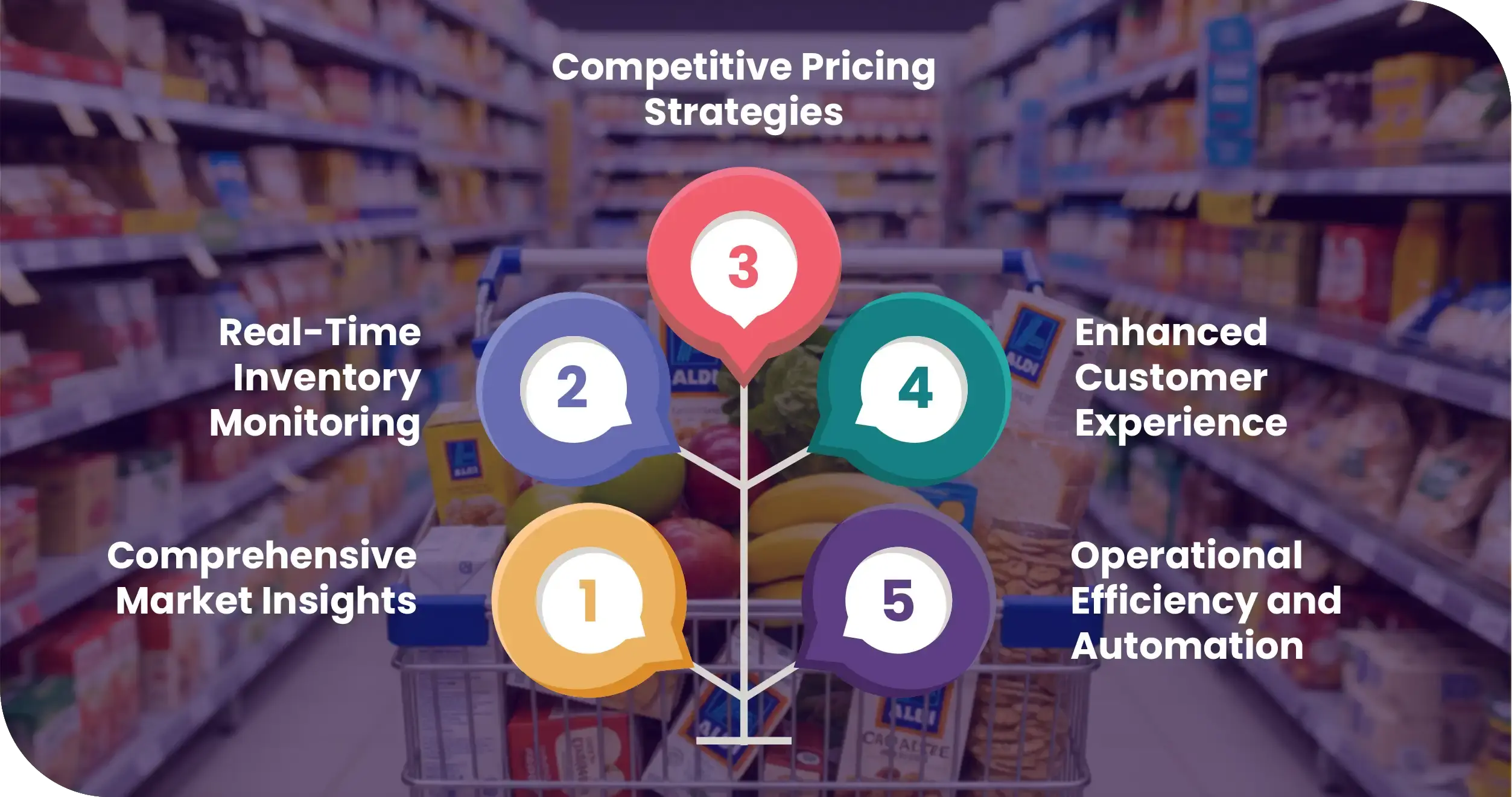 ALDI Grocery Dataset Advantages